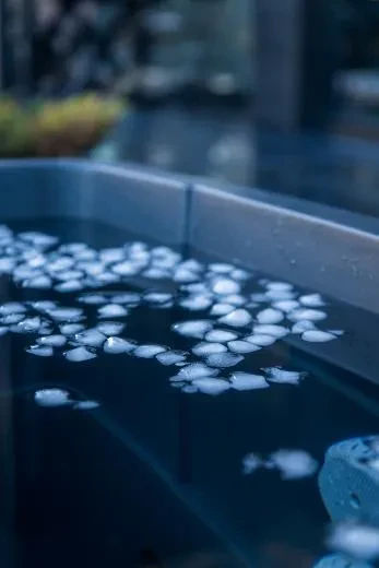 Comfort BlackIce S - BlackLeather, grigio